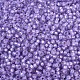 MIYUKI Round Rocailles Beads X-SEED-G007-RR0574-3