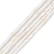 Natural Freshwater Shell Dyed Beads Strands X-SHEL-M018-12-12-2
