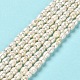 Natural Cultured Freshwater Pearl Beads Strands PEAR-E016-164-2