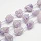 Electroplated Natural Amethyst Bead Strands G-G937-L-02-1