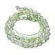 Chapelets de perles en préhnite naturelle G-F706-02A-2