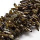 Natural Labradorite Chip Beads Strands G-E271-17-1