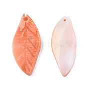 Подвески из натуральных красных ракушек trochus SSHEL-N032-44