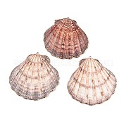 Гальванические морские раковины большие подвески SHEL-T012-47