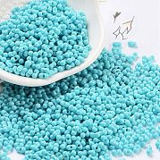 Выпечка краска стеклянные бусины SEED-A033-04P