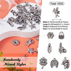 Пластиковые подвески 100g ccb&nbsp;CCB-TA0001-08AS