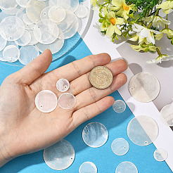 100 Stück 5 Stile natürliche Capiz Muschel Anhänger&nbsp;SHEL-SC0001-94