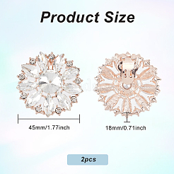 2шт украшения для обуви из сплава со стразами&nbsp;AJEW-FG0003-72B