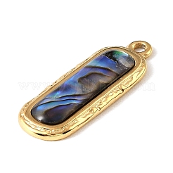 Paua-Muschel Anhänger&nbsp;SSHEL-B145-01C-G