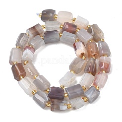 Природные Ботсвана агат бисер нитей&nbsp;G-C270-K16