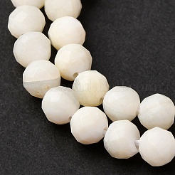 Нити бусин из ракушек SSHEL-E571-38-4mm-01