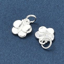 925 серебряный шарм&nbsp;STER-A050-03C-S