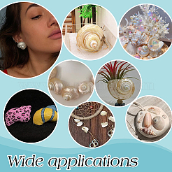 15 шт. мини-бусины из натуральной спиральной ракушки FIND-PH0026-80