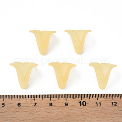 Прозрачные акриловые бусины PL551-C30