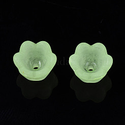 Прозрачные акриловые бусины&nbsp;X-FACR-N005-001