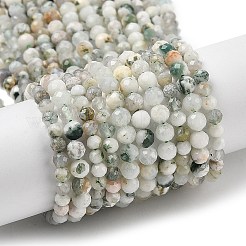 Натурального дерева агат бисер нитей&nbsp;LS-G-RM250104-D6