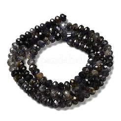 Природные иолит нитей бисера G-RM2025-22A-01