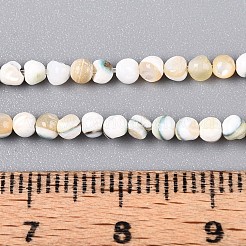 Нити светящихся бусин из натуральных ракушек SSHEL-N040-05