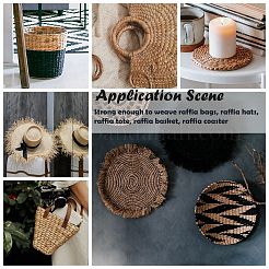 Лента из натуральной рафии X-OCOR-WH0031-E01