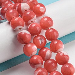 Окрашенные нити натуральных бусин-ракушек трохуса&nbsp;BSHE-G034-25C