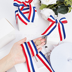 Полиэстер Grosgrain ленты SRIB-WH0009-02B