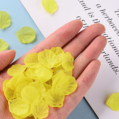 Прозрачные матовые акриловые подвески&nbsp;MACR-S371-01A-717