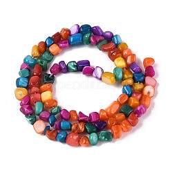 Нити бусин из натуральных пресноводных ракушек&nbsp;SHEL-N037-04A