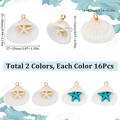 32 шт. 2-х цветные летние пляжные подвески из натуральных ракушек&nbsp;FIND-SC0012-35