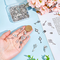 120 шт. 20 стиля подвески-ключи из сплава в тибетском стиле FIND-ME0002-08