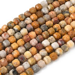 Природные сумасшедший агат бисер нитей&nbsp;G-F797-A22-01