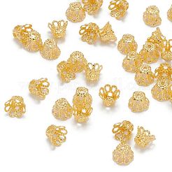 アイアン製ビーズキャップ  ゴールドカラー  6x4.5mm  穴：1mm  内径：5mm&nbsp;IFIN-D042-6x4.5-G