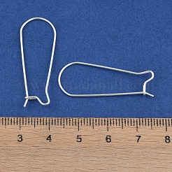Boucles d'oreilles créoles en acier inoxydable 304&nbsp;STAS-P223-01S-04