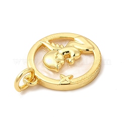 Стеллаж гальванический латунный с пластиковыми подвесками KK-G459-01G-02