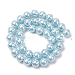 Perles de perles de coquille galvanoplastie&nbsp;BSHE-G041-10mm-03