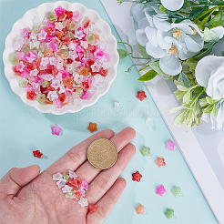 360 шт. двухцветные двухцветные непрозрачные акриловые колпачки для бусин&nbsp;OACR-SP0001-14