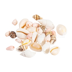 4 стиль натуральных бусин из каури BSHE-FS0001-03