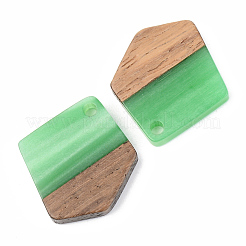 Pendentifs en résine opaque et bois de noyer&nbsp;RESI-S389-033A-C03
