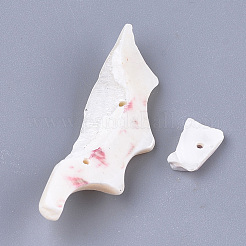 Бусины из морских раковин&nbsp;SSHEL-T008-18