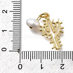 Латунные подвески&nbsp;KK-B132-10G