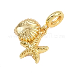 Латунные европейские подвески в форме ракушки морской звезды KK-I352-22G