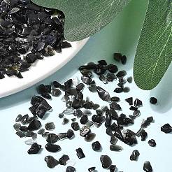 Природные обсидиана бисер чип&nbsp;X-G-L453-08