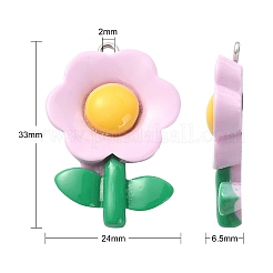 30 шт. 6 цвета непрозрачные подвески из смолы&nbsp;RESI-CJ0003-08