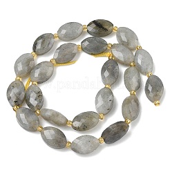 Природные лабрадорита бисер нитей&nbsp;G-A295-A01-01