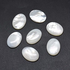 Cabochon shell&nbsp;SSHEL-E567-27A