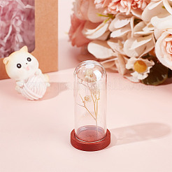 Стеклянный купол FIND-WH0152-546