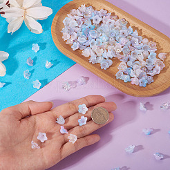180 pièces 6 styles de capuchons de perles en acrylique&nbsp;OACR-TA0004-44
