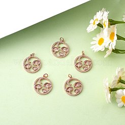 5 шт. Латунные подвески с микропаве&nbsp;ZIRC-SZ0003-33A