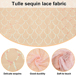 Tessuto in pizzo di poliestere&nbsp;DIY-WH0409-97B