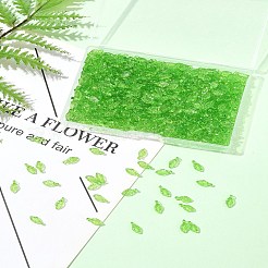 600шт прозрачные акриловые подвески&nbsp;MACR-FS0002-21