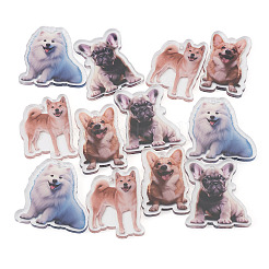 8шт 4 стиля акриловые подвески с принтом&nbsp;OACR-TA0004-14B